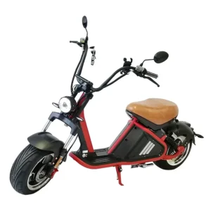 Moto Rooder Eléctrica Citycoco R 804 - M6
